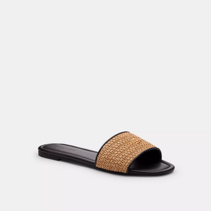 Coach Terry Slides