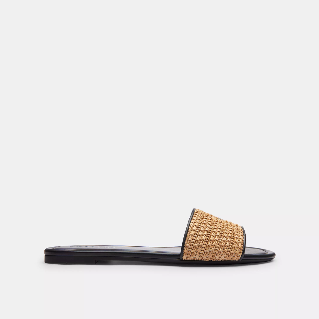 Coach Terry Slides