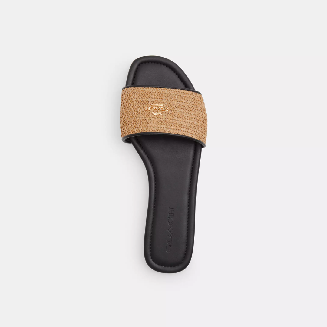 Coach Terry Slides