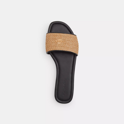 Coach Terry Slides