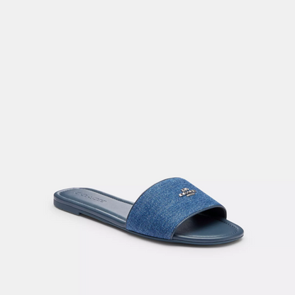 Coach Terry Slides