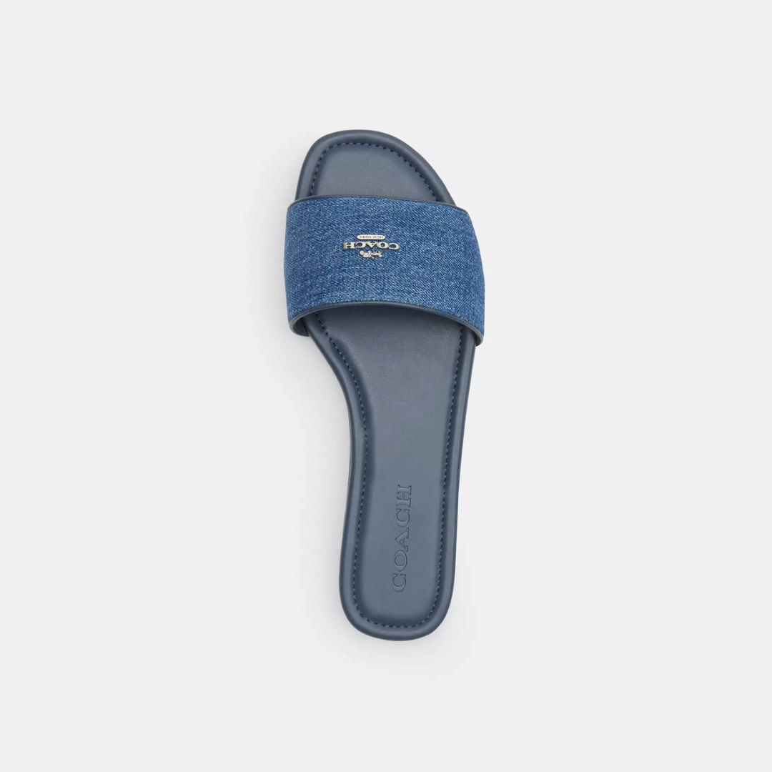 Coach Terry Slides
