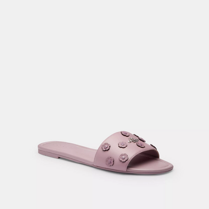 Coach Terry Slides