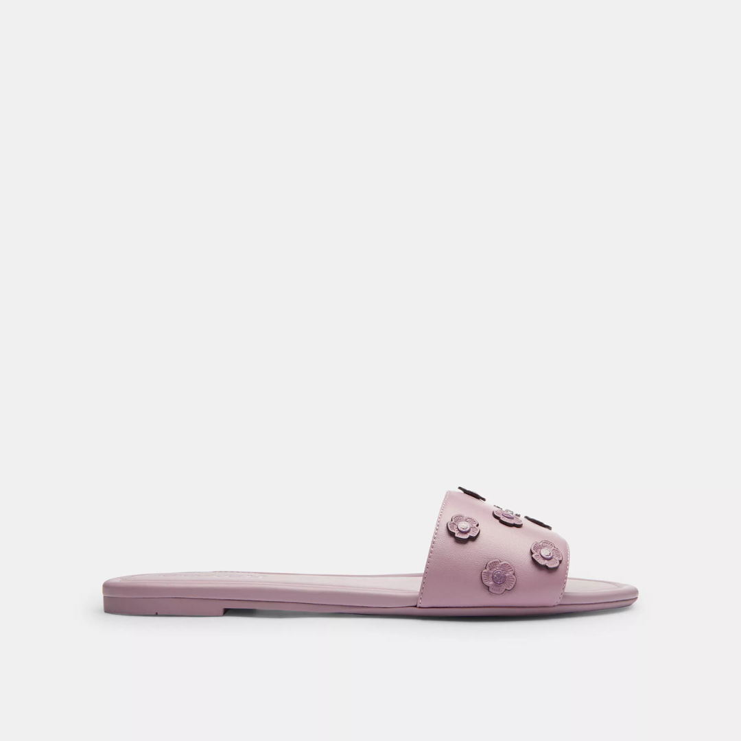 Coach Terry Slides