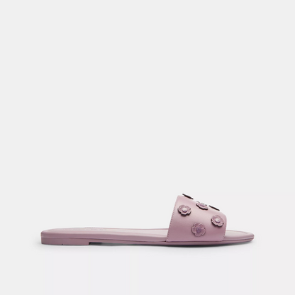 Coach Terry Slides
