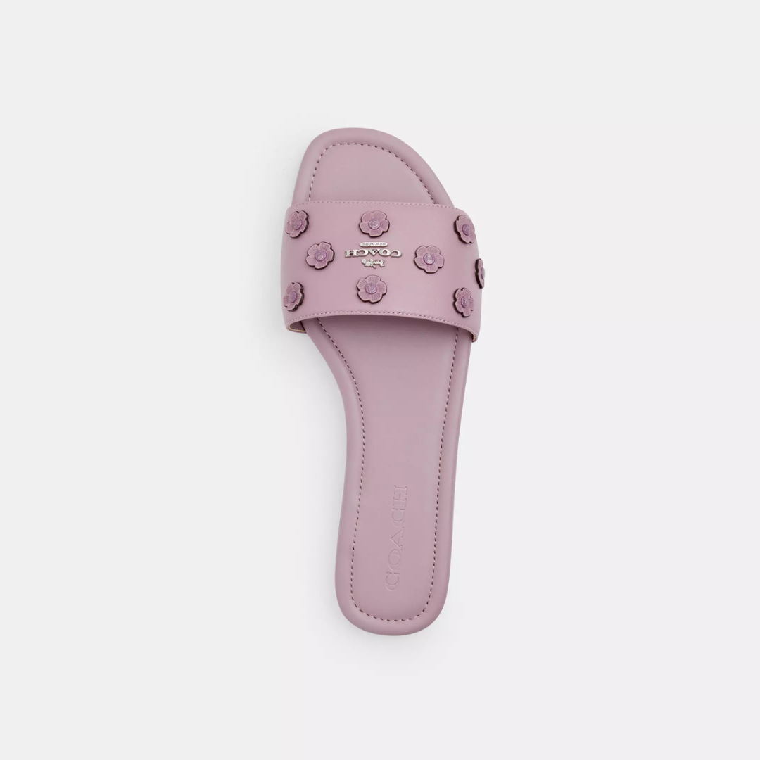 Coach Terry Slides