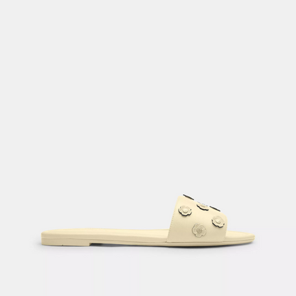Coach Terry Slides