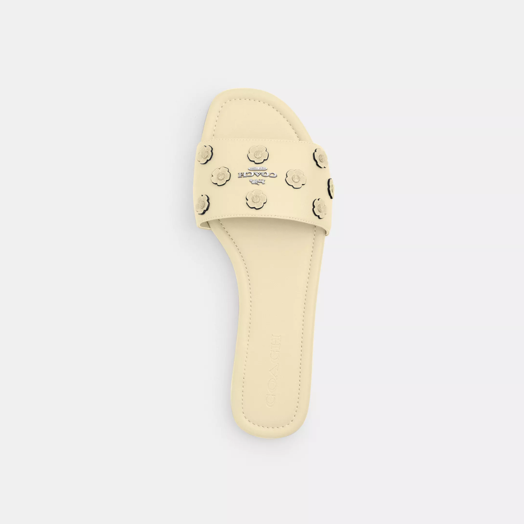 Coach Terry Slides