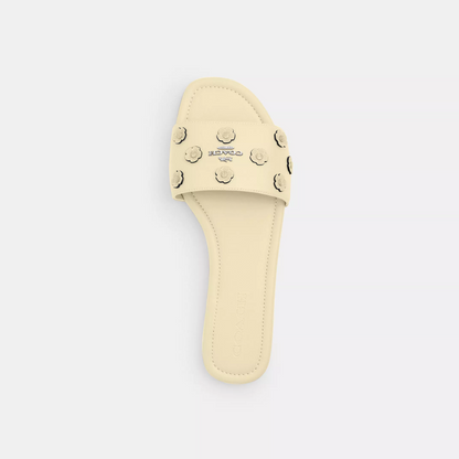 Coach Terry Slides