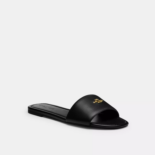 Coach Terry Slides