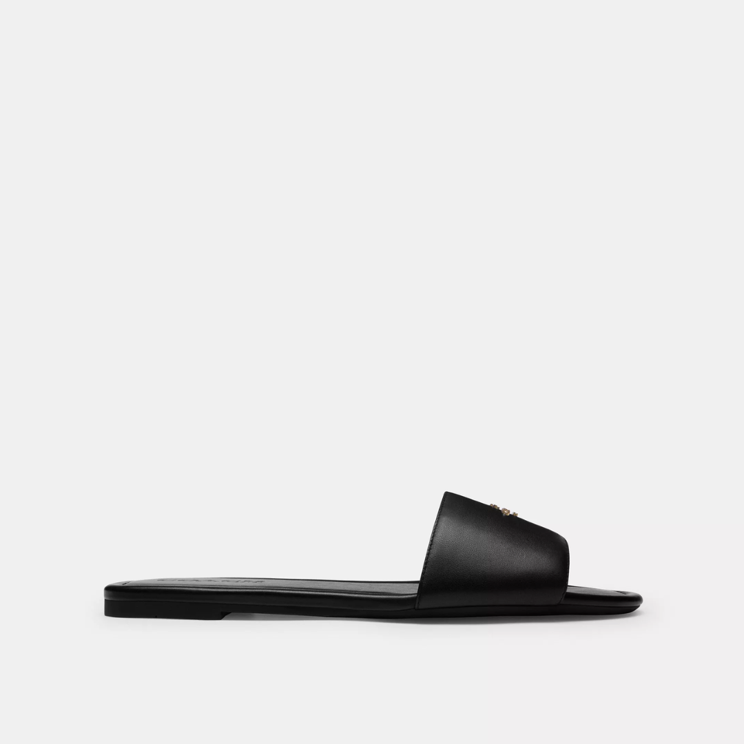 Coach Terry Slides