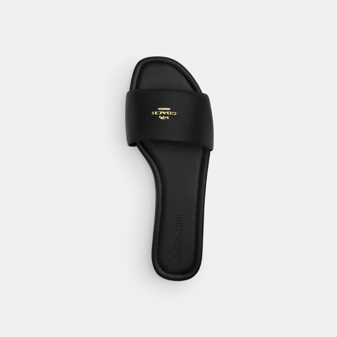 Coach Terry Slides
