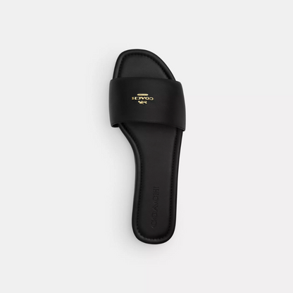Coach Terry Slides