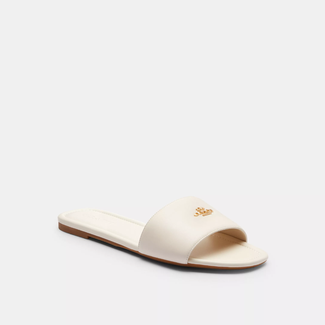 Coach Terry Slides