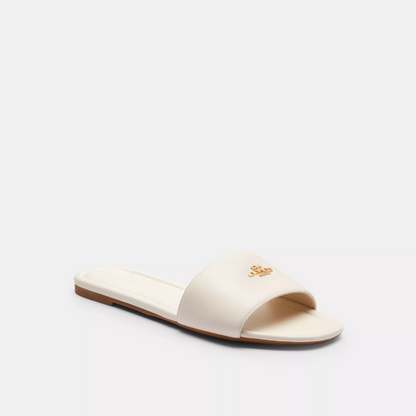 Coach Terry Slides