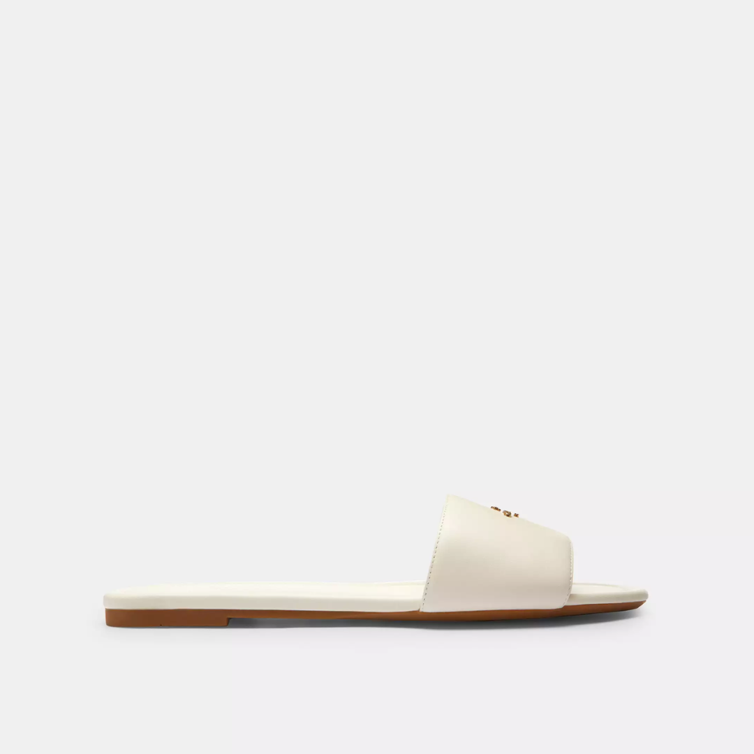 Coach Terry Slides