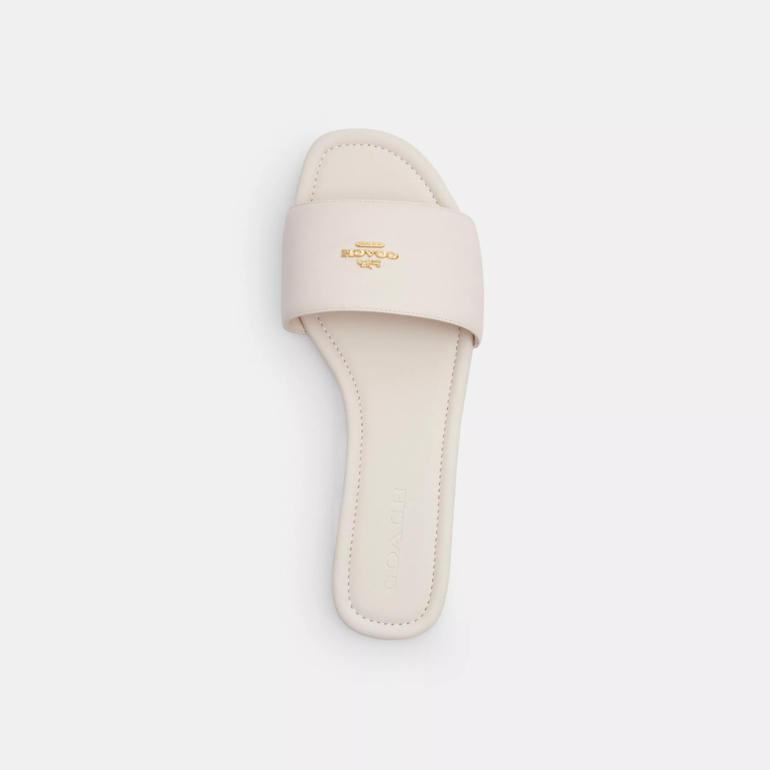 Coach Terry Slides